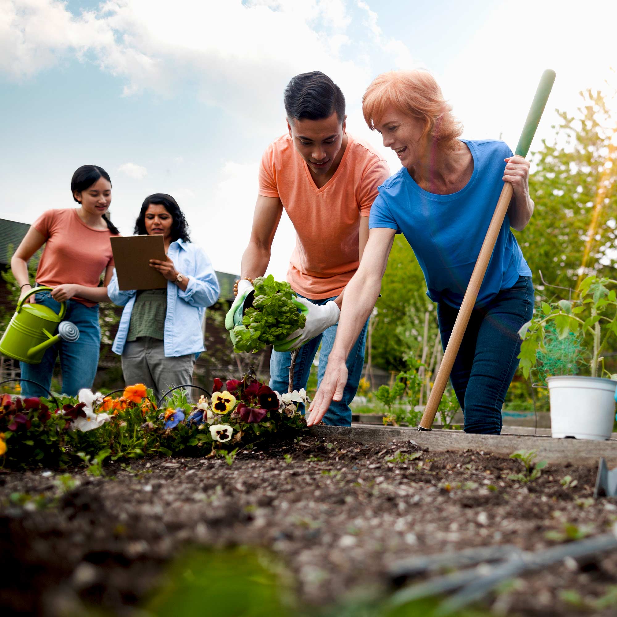 Two people plant shrubs as two others look on.