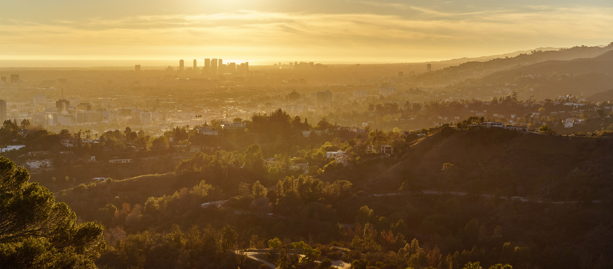 a city with trees and buildings in the distance